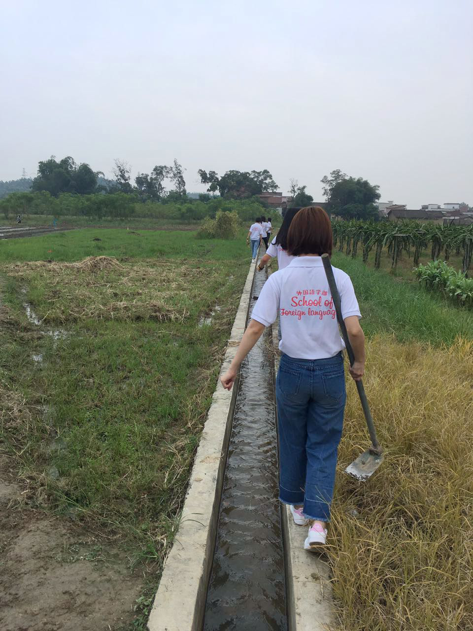 图片16.png 图片16.png